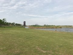 -春花秋色城市公园