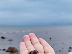 -巽寮印象美食部落餐厅·海鲜·地方特色菜(惠州体验店)