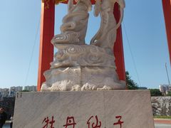 -曹州牡丹园
