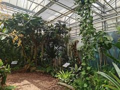 -上海鲜花港