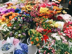 -双季花艺园艺市场(浦东店)