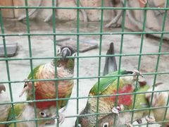 -西安秦岭野生动物园