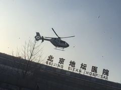 -首都医科大学附属北京地坛医院