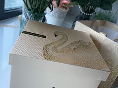 -BLACKSWAN黑天鹅(环球店)