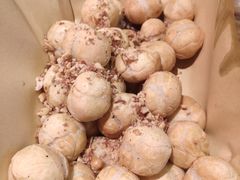 -先启半步颠·川菜小炒