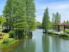 -尚湖风景区