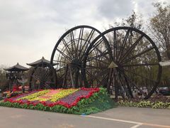 -呀路古热带植物园