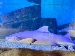 -横店影视城梦幻谷园区