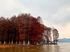 -四明山国家森林公园