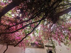 -深圳国际园林花卉博览园