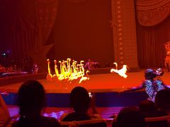 -珠海横琴长隆《卡卡虎奇遇记》