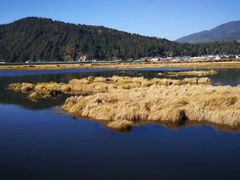 -腾冲北海湿地