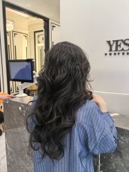 -YESIDO椰岛造型