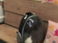 -瑞鹏宠物医院·宠保定点·心脏科·内科(御桥分院)