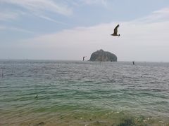 -棒棰岛宾馆景区