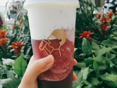-喜茶(徐州金鹰店)