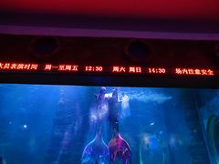 -无锡海洋馆