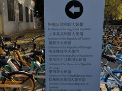 -三里屯东五街银杏大道