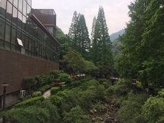 -宁海森林温泉