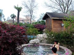 -金孔雀温泉旅游度假村