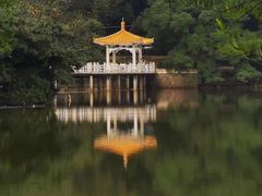 -云溪植物园