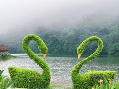 -广州市石门国家森林公园