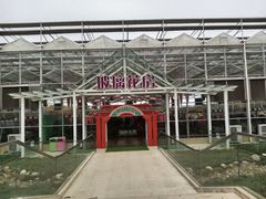 -盈香心动乐园