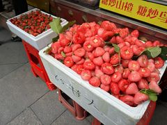 -老炳·七丛松甘草水果