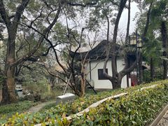-复旦大学附属华山医院(总院)
