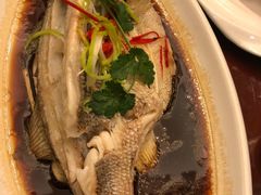 -好妈王饺子(滂江街店)