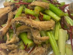 -昱德来·天津菜(河西店)