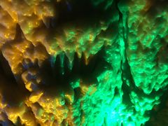 -泰安地下龙宫景区