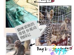 -泉州海丝野生动物世界