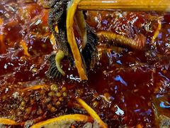 -毛毛老火锅(八年观音桥店)