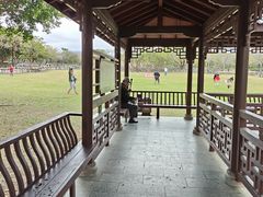 -聚龙山公园