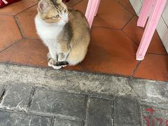 -非遗·爱西干面(小公园总店)