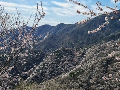 -鹫峰国家森林公园