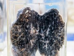 -四川大学(华西校区)