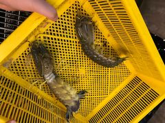 -大螃蟹海鲜餐厅
