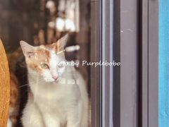 -251#coffee roasters(沿河东路店)