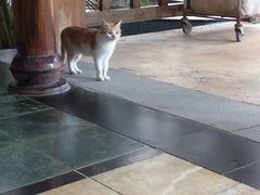 -龙达温泉生态城