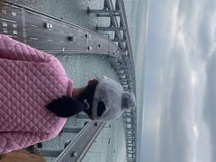 -星海湾跨海大桥