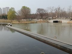 -西安浐灞国家湿地公园