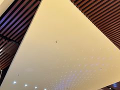 -华美国际影城(旧宫永辉店)