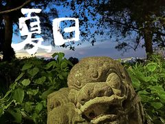 -广州市白云山风景名胜区