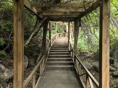-大岭沟猕猴桃谷风景区