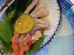 -半岛听涛蒸汽海鲜自助(K11店)