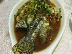 清蒸鳜鱼-大谊园