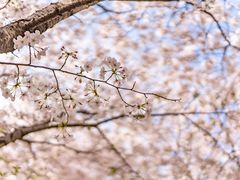 -龙美术馆(西岸馆)