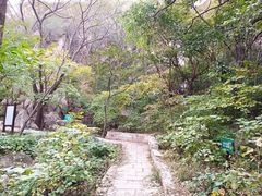-北京凤凰岭